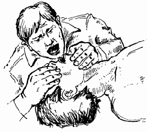 �������� �������� ������ ����������� ������