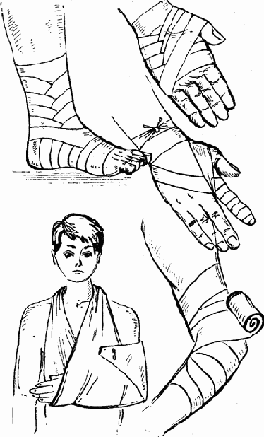 ������������ ������� �� �������� ����������������