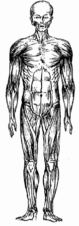 �������� ���������� ������� �� ������������ ����� �������� ����� � �������� ������ �������