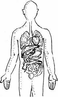 �������� ���������� ������� �� ������������ ����� �������� ����� � �������� ������ �������