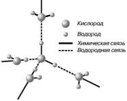 �������� - ���� �������� � ����������