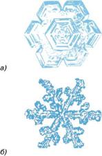 �������� - ���� �������� � ����������