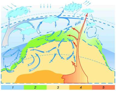 �������� - ���� �������� � ����������