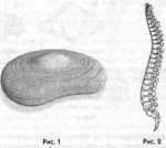 �� ��������