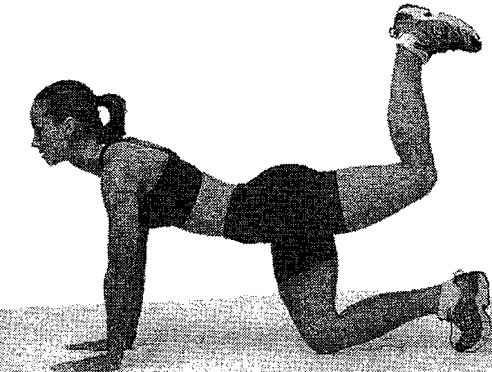 �����: ������� ��� � ������� 40 �����