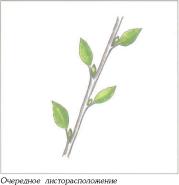 ��� - ������ � ����� ����