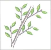 ��� - ������ � ����� ����