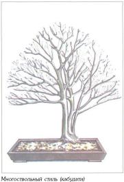 ��� - ������ � ����� ����