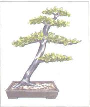 ��� - ������ � ����� ����