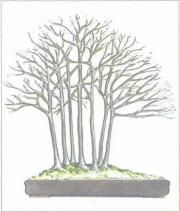 ��� - ������ � ����� ����