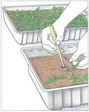 ��� - ������ � ����� ����