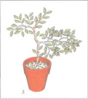 ��� - ������ � ����� ����