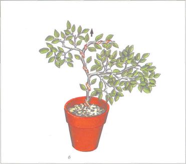 ��� - ������ � ����� ����