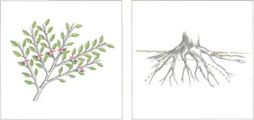 ��� - ������ � ����� ����