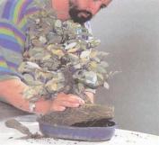 ��� - ������ � ����� ����