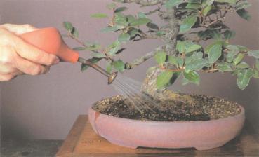 ��� - ������ � ����� ����