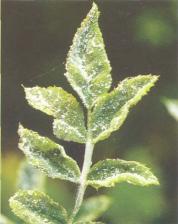 ��� - ������ � ����� ����