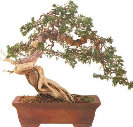 �� �� ��� - ������. ������� �����