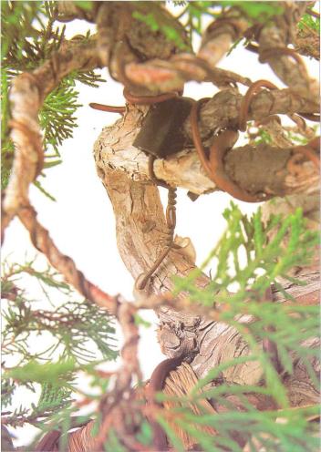 �� �� ��� - ������. ������� �����