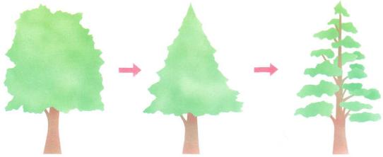 �� �� ��� - ������. ������� �����