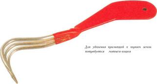 �� �� ��� - ������. ������� �����