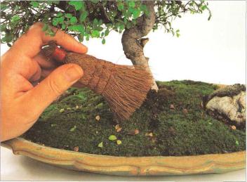 �� �� ��� - ������. ������� �����