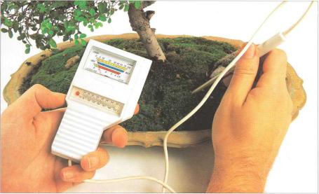 �� �� ��� - ������. ������� �����