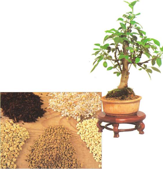 �� �� ��� - ������. ������� �����