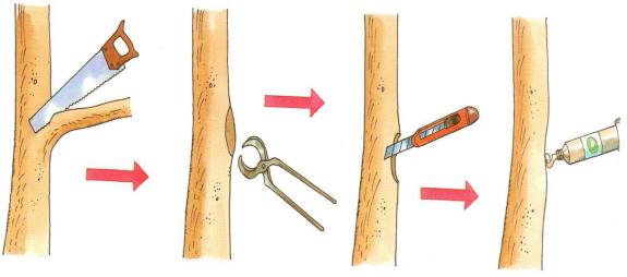 �� �� ��� - ������. ������� �����