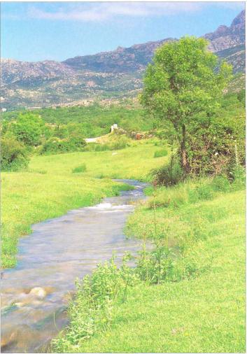 �� �� ��� - ������. ������� �����