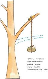 �� �� ��� - ������. ������� �����