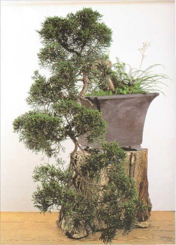 �� �� ��� - ������. ������� �����