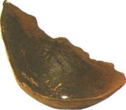 �� �� ��� - ������. ������� �����