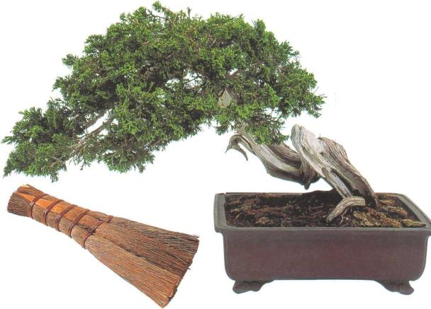 �� �� ��� - ������. ������� �����