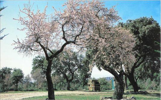 �� �� ��� - ������. ������� �����