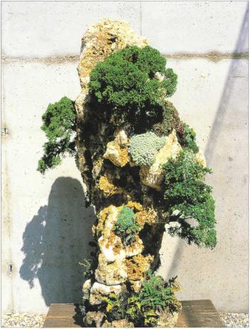 �� �� ��� - ������. ������� �����