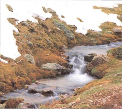 �� �� ��� - ������. ������� �����