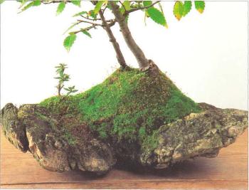 �� �� ��� - ������. ������� �����