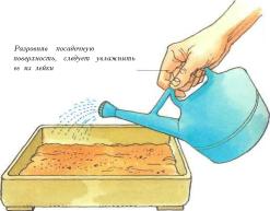 �� �� ��� - ������. ������� �����