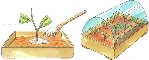 �� �� ��� - ������. ������� �����