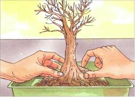 �� �� ��� - ������. ������� �����