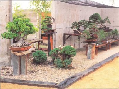 �� �� ��� - ������. ������� �����