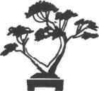 �� �� ��� - ������. ������� �����