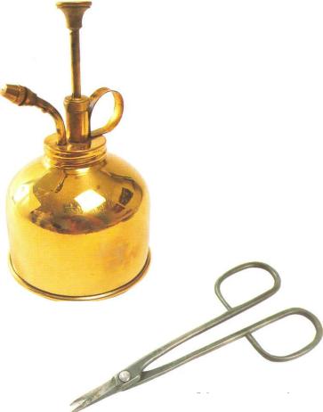 �� �� ��� - ������. ������� �����