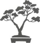 �� �� ��� - ������. ������� �����