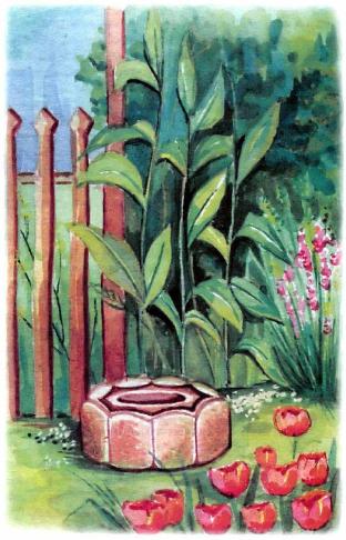 �������� - �������� ���