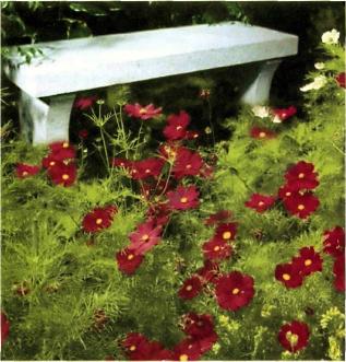 �������� - �������� ���