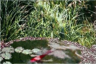 �������� - �������� ���