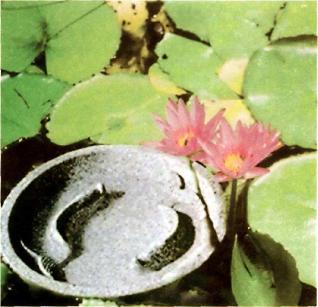 �������� - �������� ���