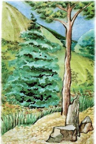 �������� - �������� ���